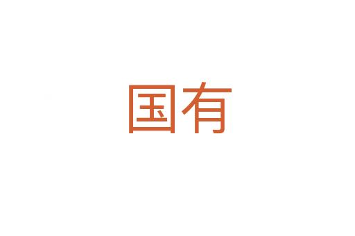 國(guó)有