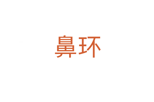 鼻環(huán)